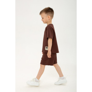 Костюм двойка детский "Стрела" петельчатый футер (р-ры: 104-146) коричневый