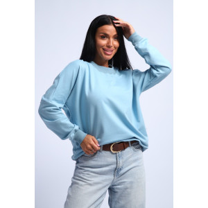 Свитшот женский №290 футер с лайкрой 2-х нитка (р-ры: 44-54) голубой Свитшот женский №290 футер с лайкрой 2-х нитка (р-ры: 44-54) голубой
