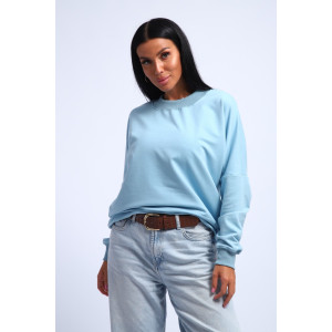 Свитшот женский №290 футер с лайкрой 2-х нитка (р-ры: 44-54) голубой Свитшот женский №290 футер с лайкрой 2-х нитка (р-ры: 44-54) голубой