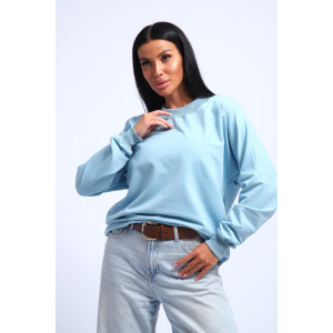 Свитшот женский №290 футер с лайкрой 2-х нитка (р-ры: 44-54) голубой Свитшот женский №290 футер с лайкрой 2-х нитка (р-ры: 44-54) голубой