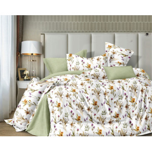 Постельное белье поплин стандарт ПВ32-1509 Постельное белье поплин стандарт ПВ32-1509