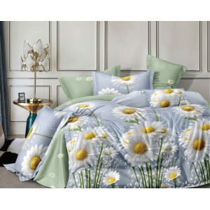 Постельное белье поплин стандарт ПВ32-1504 Постельное белье поплин стандарт ПВ32-1504