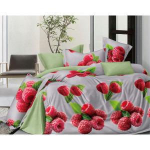 Постельное белье поплин стандарт ПВ32-1502 Постельное белье поплин стандарт ПВ32-1502