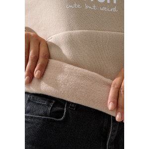 Толстовка женская №8565 футер 3-х нитка с начесом (последний размер) бежевый стич 52-56 Толстовка женская №8565 футер 3-х нитка с начесом (последний размер) бежевый стич 52-56