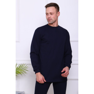 Костюм двойка мужской №1056 футер 2-х нитка с начесом (последний размер) синий 48