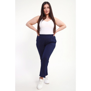 Брюки женские №85041 футер 2-х нитка (р-ры: 48-62) синий Брюки женские №85041 футер 2-х нитка (р-ры: 48-62) синий