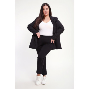 Брюки женские №85041 футер 2-х нитка (р-ры: 48-62) черный Брюки женские №85041 футер 2-х нитка (р-ры: 48-62) черный