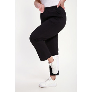 Брюки женские №85041 футер 2-х нитка (р-ры: 48-62) черный Брюки женские №85041 футер 2-х нитка (р-ры: 48-62) черный