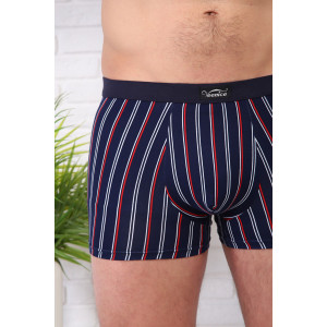 Трусы мужские №64951 бамбук (р-ры: 50-56) - упаковка 2 шт.