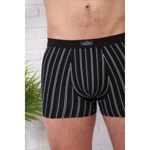 Трусы мужские №64951 бамбук (р-ры: 50-56) - упаковка 2 шт.