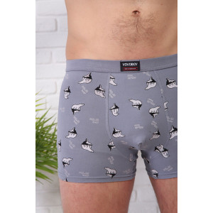 Трусы мужские №64946 бамбук (р-ры: 50-56) - упаковка 2 шт.