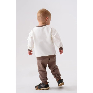 Брюки детские 2379-Фут "Футер" футер 2-х нитка (р-ры: 80-110) коричневый