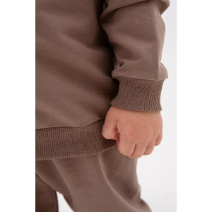 Костюм двойка детский 2376-Фут "Футер" футер 2-х нитка (р-ры: 80-110) динозавр коричневый