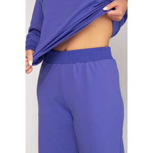 Костюм двойка женский ФК-45 "Касандра" футер 2-х нитка (последний размер) ирис 52