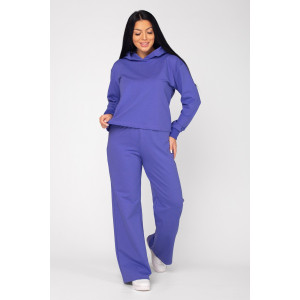 Костюм двойка женский ФК-45 "Касандра" футер 2-х нитка (последний размер) ирис 52