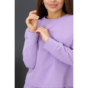 Свитшот женский С-01 футер с лайкрой 2-х нитка (р-ры: 42-62) сиреневый Свитшот женский С-01 футер с лайкрой 2-х нитка (р-ры: 42-62) сиреневый