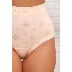 Трусы женские №64972 хлопок стрейч (р-ры: 48-50) бежевый