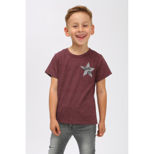 Футболка детская "Маленькая звезда" кулирка с лайкрой (последний размер) бордо 110 Футболка детская "Маленькая звезда" кулирка с лайкрой (последний размер) бордо 110