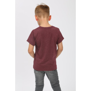 Футболка детская "Маленькая звезда" кулирка с лайкрой (последний размер) бордо 110 Футболка детская "Маленькая звезда" кулирка с лайкрой (последний размер) бордо 110