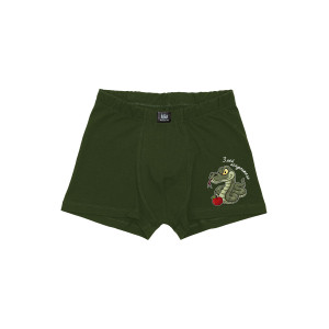 Трусы мужские "Искуситель" кулирка с лайкрой пенье (последний размер) хаки 54