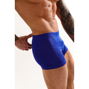 Трусы мужские "Крупный калибр" кулирка с лайкрой пенье (последний размер) васильковый 54