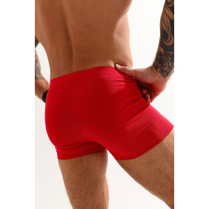 Трусы мужские "Сделано в СССР" кулирка с лайкрой пенье (последний размер) красный 46