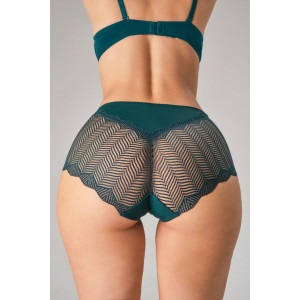 Трусы женские 0208 OIRO нейлон (последний размер) зеленый, синий, бордо - упаковка 3 шт. 48-50,50-52,58-60