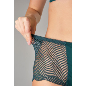 Трусы женские 0208 OIRO нейлон (последний размер) зеленый, синий, бордо - упаковка 3 шт. 48-50,50-52,58-60