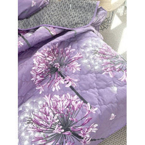 Набор для сна с одеялом поплин КП15-1293 (последний размер) 2-сп.евр