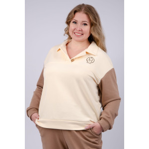 Костюм двойка женский "Колористика" футер 3-х нитка петля (последний размер) коричневый 48