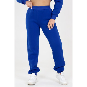 Брюки женские БФ-218 футер с начесом (последний размер) василек 58