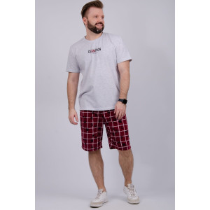 Костюм двойка мужской "Чемпион" кулирка (р-ры: 48-58)