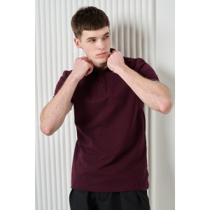 Футболка мужская №14454 пике (р-ры: 48-60) бордовый Футболка мужская №14454 пике (р-ры: 48-60) бордовый