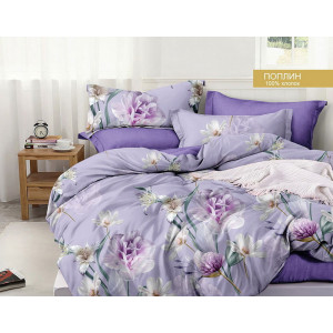 Постельное белье поплин стандарт ПВ27-1441 (последний размер) 2.0-сп.