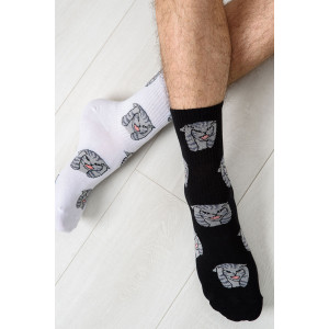 Носки мужские "Драматик кот" - упаковка 2 пары