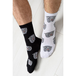 Носки мужские "Драматик кот" - упаковка 2 пары