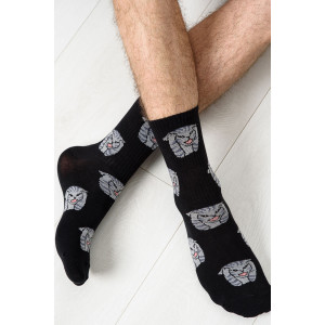 Носки мужские "Драматик кот" - упаковка 2 пары