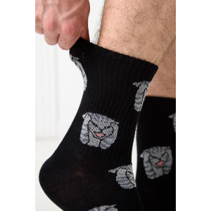 Носки мужские "Драматик кот" - упаковка 2 пары