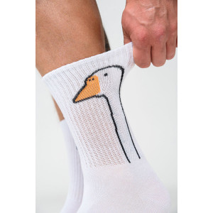 Носки мужские "ГусьОк" - упаковка 2 пары