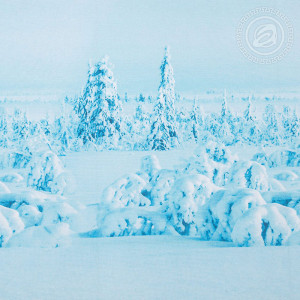 Постельное белье бязь "Символ удачи" (последний размер) Евро