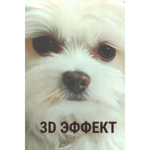 Наволочка-чехол декоративная велюр 3D на молнии "Болонка"