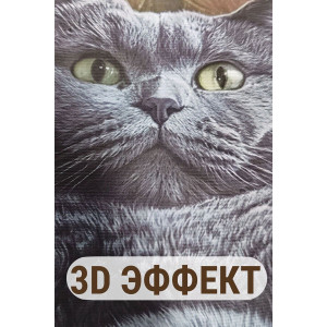 Наволочка-чехол декоративная велюр 3D на молнии "Британец"