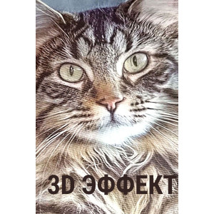 Наволочка-чехол декоративная велюр 3D на молнии "Кот пушистый"
