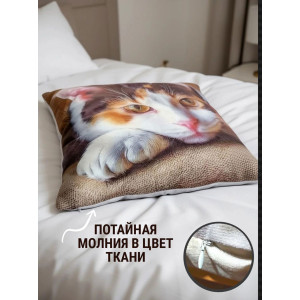Наволочка-чехол декоративная велюр 3D на молнии "Машка"
