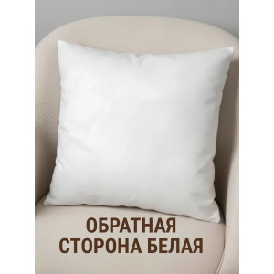Наволочка-чехол декоративная велюр 3D на молнии "Сова"
