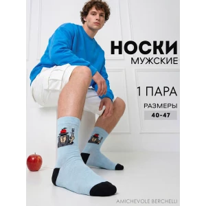 Носки мужские "Ньютон" - упаковка 1 пара Носки мужские "Ньютон" - упаковка 1 пара