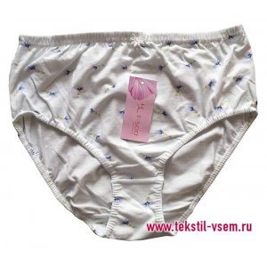 Трусы женские TS0040 хлопок+эластан (р-ры: M-3XL) голубые цветочки на белом