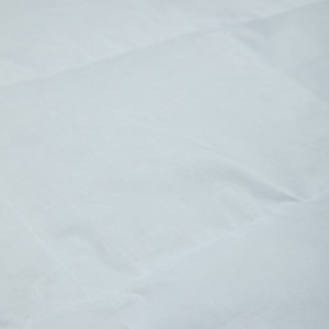 Одеяло WHITE DOWN гусиный пух /тик белый