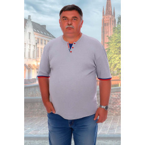 Футболка мужская №5901 рибана (р-ры: 54-62) серый-меланж